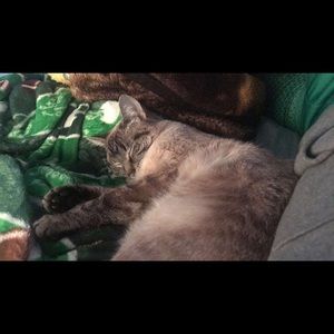 Meet your Posher, Dylan